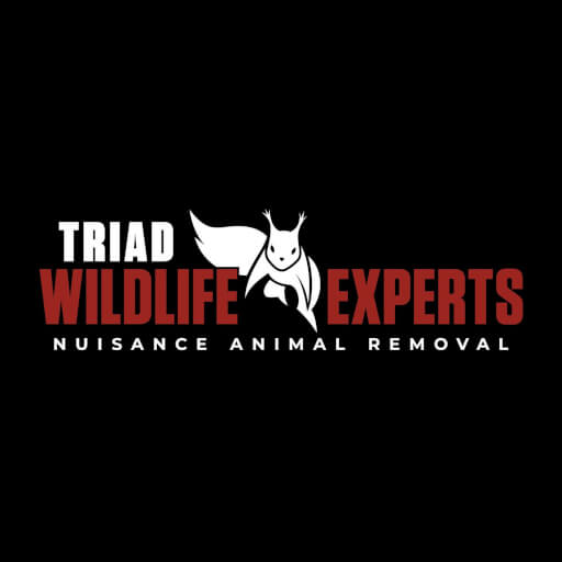 Triad Wildlife Experts